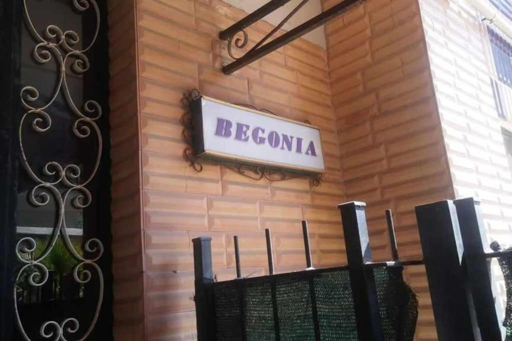Aurelia - Apartment Begonia Rome Exterior photo