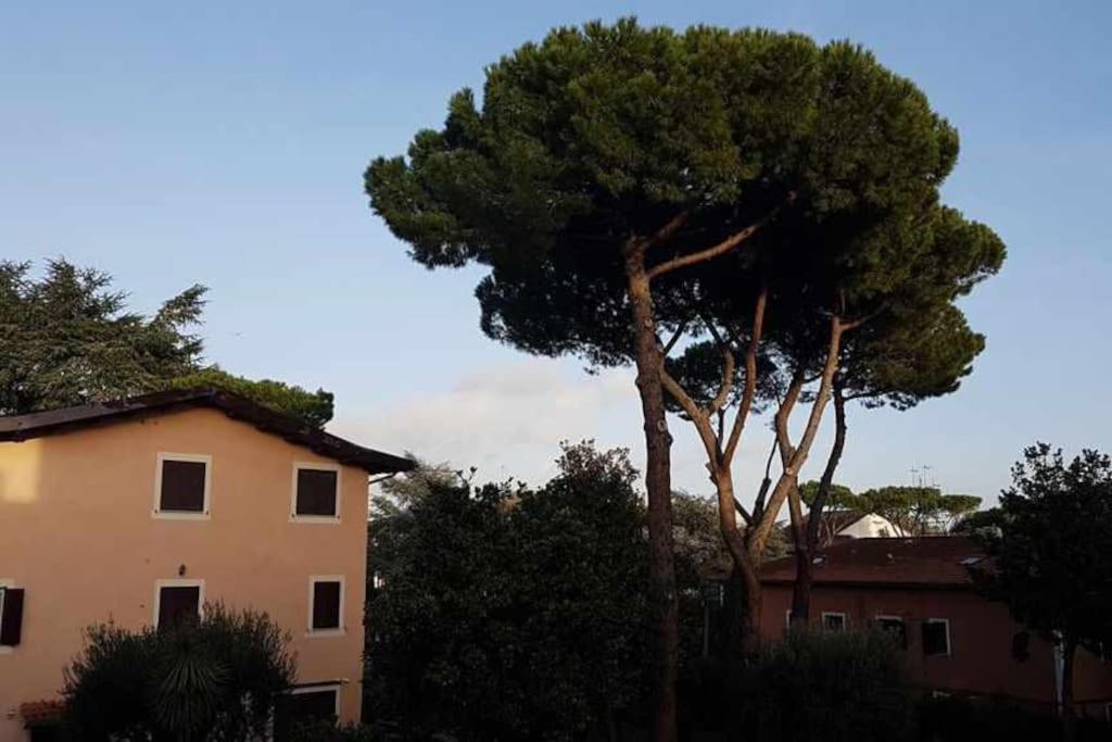 Aurelia - Apartment Begonia Rome Exterior photo